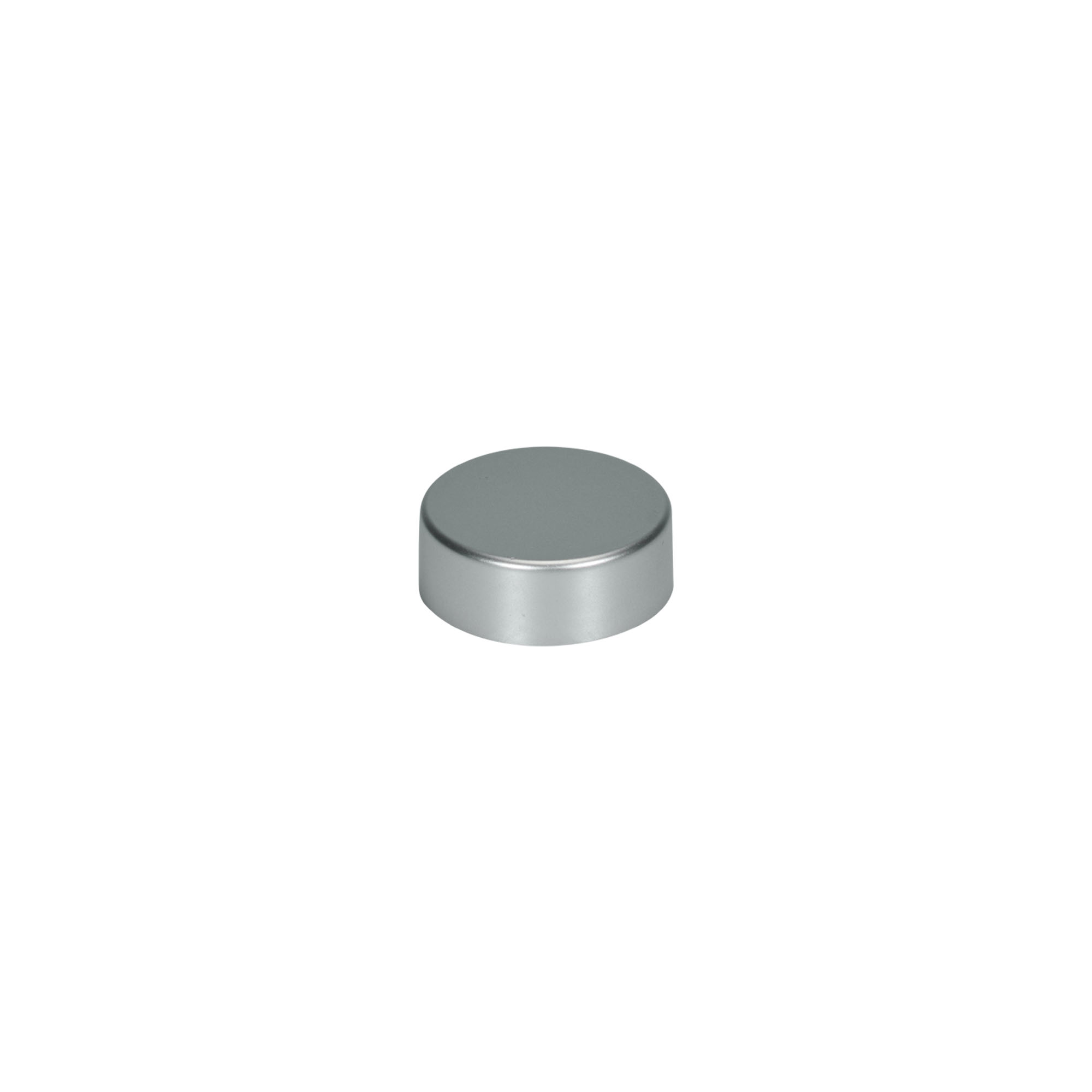 Screw cap, ABS plastic, matt silver, for opening: GPI 33/400