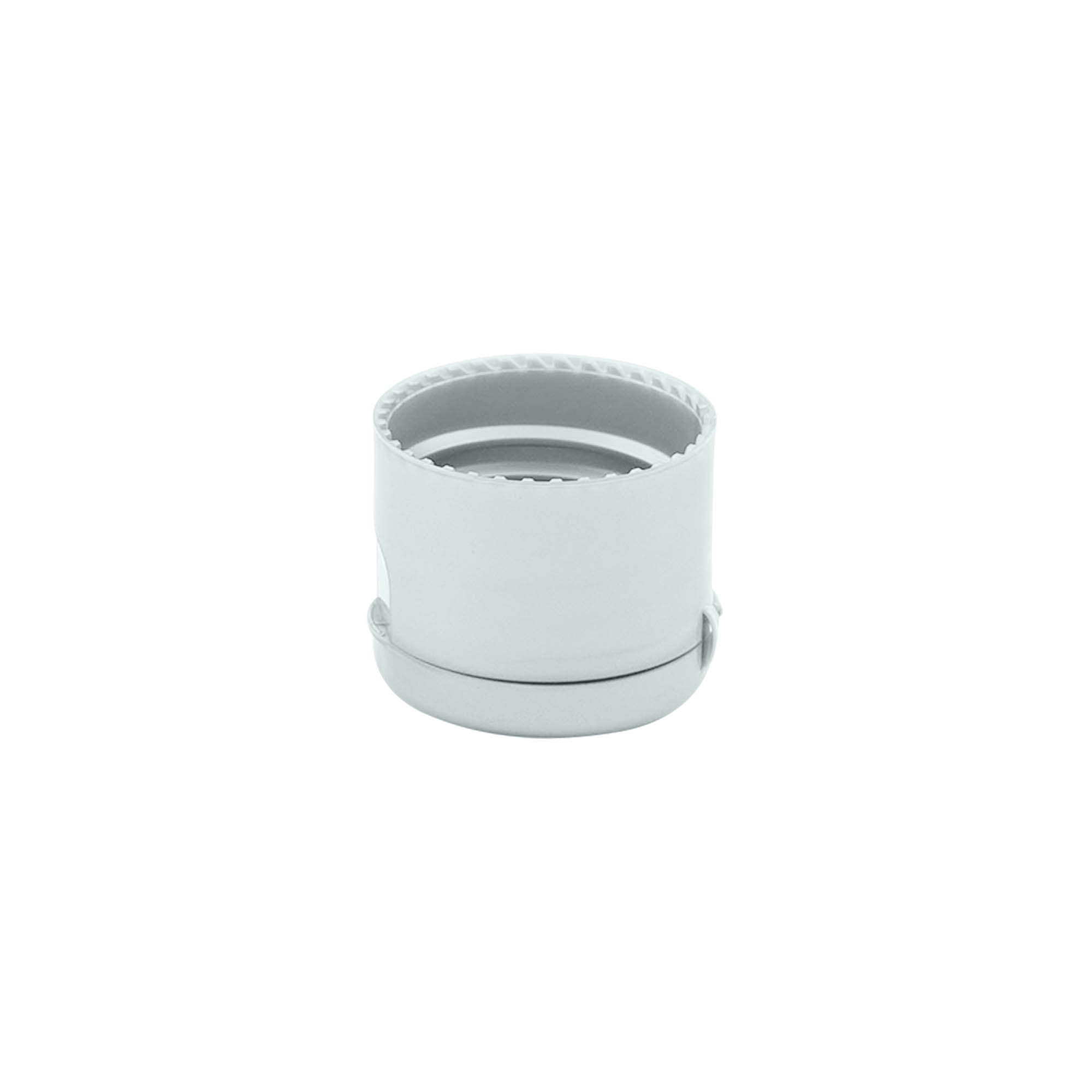 Screw cap with hinge, PP plastic, silver, for opening: 24/410 Screw cap with hinge, PP plastic, silver, for opening: 24/410