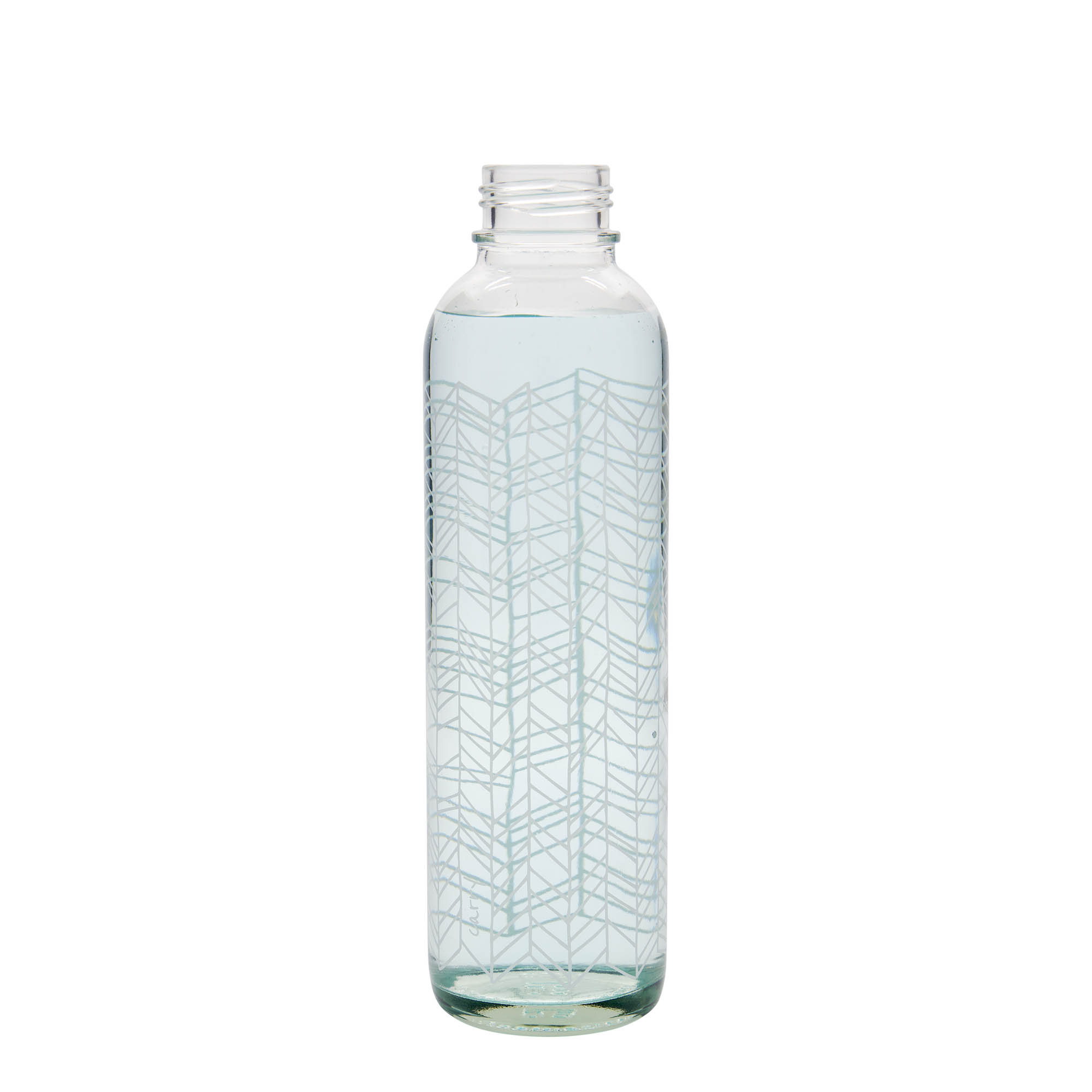 700 ml Drinking Bottle CARRY Bottle 'Structure of Life', Opening: Screw Cap