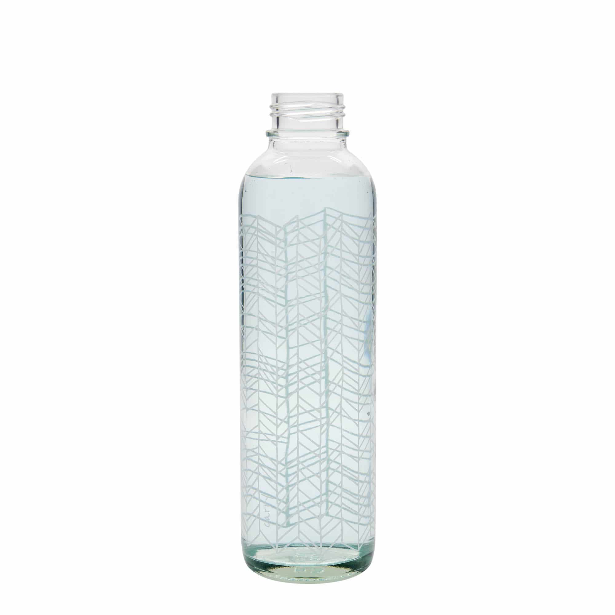 700 ml Drinking Bottle CARRY Bottle ‘Structure of Life’, Opening: Screw Cap