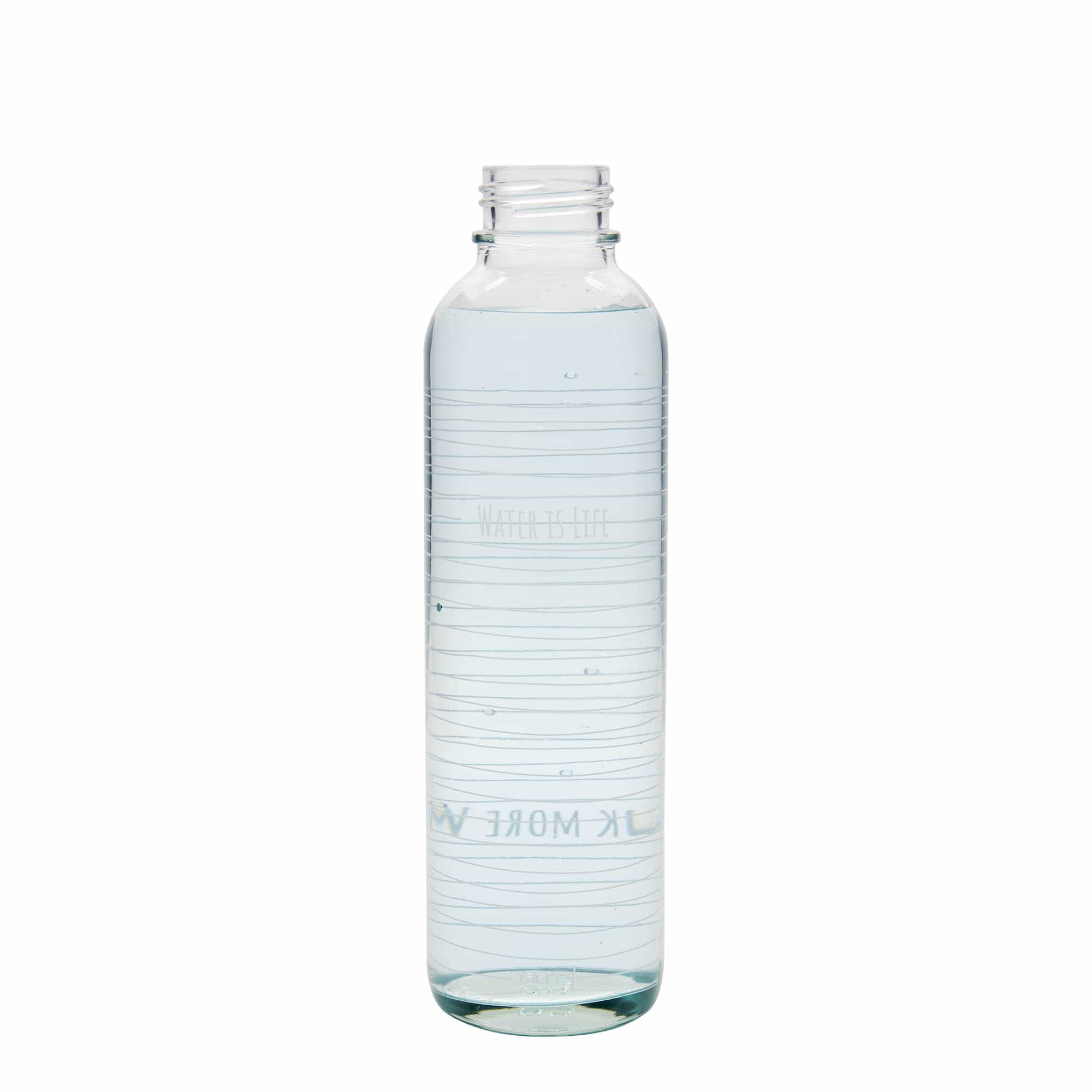 700 ml drinking bottle CARRY Bottle ‘Water is Life’, opening: screw cap